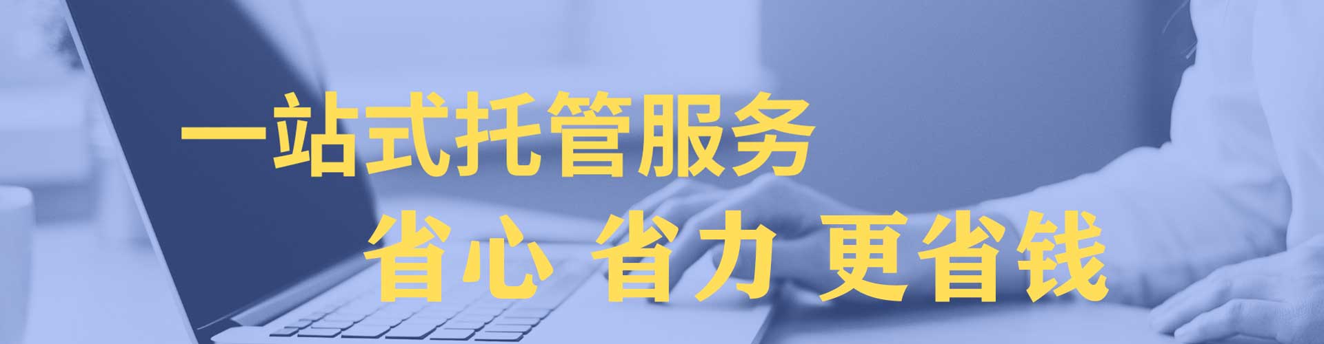 树林sem优化师